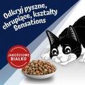 Purina FELIX Countryside Sensations Wołowina 1kg PURINA NESTLE