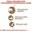 ROYAL CANIN Ageing +12 0,4kg Royal Canin