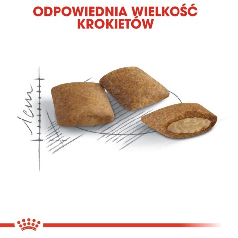 ROYAL CANIN Ageing +12 0,4kg Royal Canin ROYAL CANIN Ageing +12 0,4kg Royal Canin