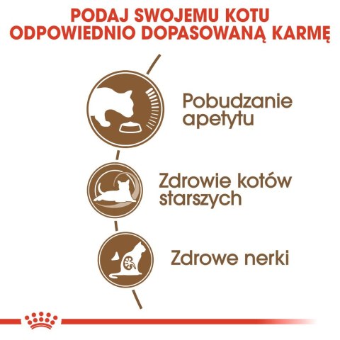 ROYAL CANIN Ageing +12 2kg Royal Canin ROYAL CANIN Ageing +12 2kg Royal Canin