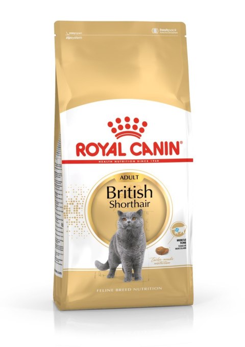 ROYAL CANIN FBN British Shorthair Adult - sucha karma dla dorosłego kota - 10kg Royal Canin ROYAL CANIN FBN British Shorthair Adult - sucha karma dla dorosłego kota - 10kg Royal Canin