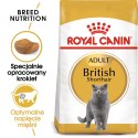 ROYAL CANIN FBN British Shorthair Adult - sucha karma dla dorosłego kota - 10kg Royal Canin