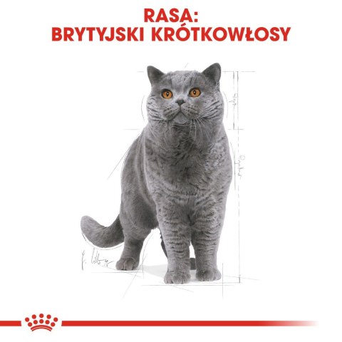 ROYAL CANIN FBN British Shorthair Adult - sucha karma dla dorosłego kota - 2kg Royal Canin ROYAL CANIN FBN British Shorthair Adult - sucha karma dla dorosłego kota - 2kg Royal Canin