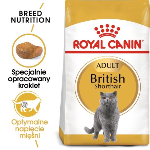 ROYAL CANIN FBN British Shorthair Adult - sucha karma dla dorosłego kota - 2kg Royal Canin ROYAL CANIN FBN British Shorthair Adult - sucha karma dla dorosłego kota - 2kg Royal Canin