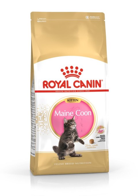 ROYAL CANIN FBN Maine Coon Kitten - sucha karma dla kociąt - 2kg Royal Canin ROYAL CANIN FBN Maine Coon Kitten - sucha karma dla kociąt - 2kg Royal Canin