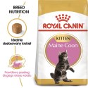 ROYAL CANIN FBN Maine Coon Kitten - sucha karma dla kociąt - 2kg Royal Canin