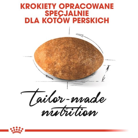ROYAL CANIN FBN Persian Adult - sucha karma dla kota dorosłego - 10 kg Royal Canin ROYAL CANIN FBN Persian Adult - sucha karma dla kota dorosłego - 10 kg Royal Canin