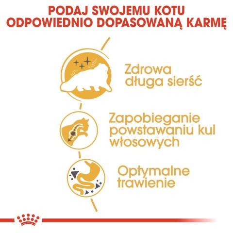 ROYAL CANIN FBN Persian Adult - sucha karma dla kota dorosłego - 10 kg Royal Canin ROYAL CANIN FBN Persian Adult - sucha karma dla kota dorosłego - 10 kg Royal Canin