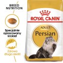 ROYAL CANIN FBN Persian Adult - sucha karma dla kota dorosłego - 10 kg Royal Canin