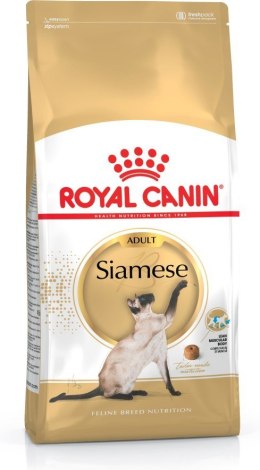 ROYAL CANIN FBN Siamese Adult - sucha karma dla dorosłego kota - 2kg Royal Canin