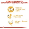 ROYAL CANIN FBN Siamese Adult - sucha karma dla dorosłego kota - 2kg Royal Canin