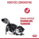 ROYAL CANIN FCN Digestive Care - sucha karma dla kota dorosłego - 4 kg Royal Canin