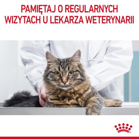 ROYAL CANIN FCN Digestive Care - sucha karma dla kota dorosłego - 4 kg Royal Canin