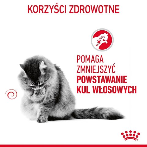 ROYAL CANIN FCN Hairball Care - sucha karma dla kota dorosłego - 10 kg Royal Canin ROYAL CANIN FCN Hairball Care - sucha karma dla kota dorosłego - 10 kg Royal Canin