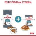 ROYAL CANIN FCN Hairball Care - sucha karma dla kota dorosłego - 10 kg Royal Canin