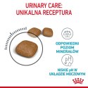 ROYAL CANIN FCN Urinary Care - sucha karma dla kota dorosłego - 10 kg Royal Canin