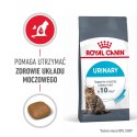 ROYAL CANIN FCN Urinary Care - sucha karma dla kota dorosłego - 10 kg Royal Canin