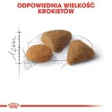 ROYAL CANIN FHN Exigent Savour Sensation - sucha karma dla kota dorosłego - 10kg Royal Canin