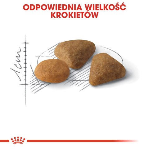 ROYAL CANIN FHN Exigent Savour Sensation - sucha karma dla kota dorosłego - 10kg Royal Canin ROYAL CANIN FHN Exigent Savour Sensation - sucha karma dla kota dorosłego - 10kg Royal Canin
