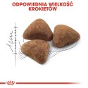 ROYAL CANIN FHN Indoor - sucha karma dla kota dorosłego - 4kg Royal Canin