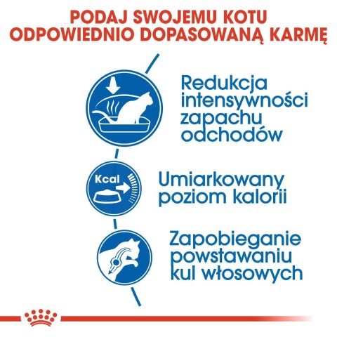 ROYAL CANIN FHN Indoor - sucha karma dla kota dorosłego - 4kg Royal Canin ROYAL CANIN FHN Indoor - sucha karma dla kota dorosłego - 4kg Royal Canin