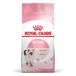 ROYAL CANIN FHN Kitten - sucha karma dla kociąt - 4kg Royal Canin