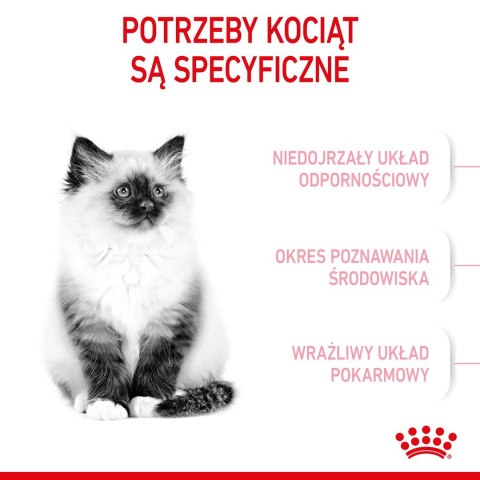 ROYAL CANIN FHN Kitten - sucha karma dla kociąt - 4kg Royal Canin ROYAL CANIN FHN Kitten - sucha karma dla kociąt - 4kg Royal Canin