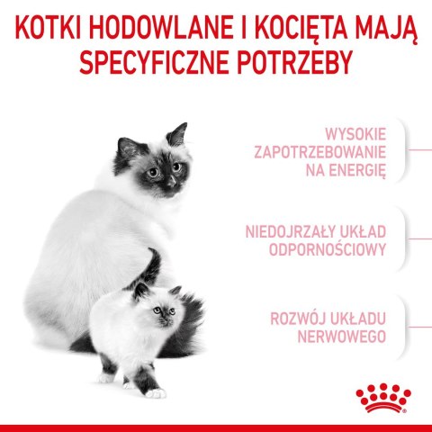 ROYAL CANIN FHN Mother&Babycat - sucha karma dla kociąt - 4kg Royal Canin ROYAL CANIN FHN Mother&Babycat - sucha karma dla kociąt - 4kg Royal Canin