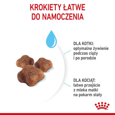 ROYAL CANIN FHN Mother&Babycat - sucha karma dla kociąt - 4kg Royal Canin ROYAL CANIN FHN Mother&Babycat - sucha karma dla kociąt - 4kg Royal Canin