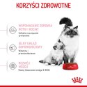 ROYAL CANIN FHN Mother&Babycat - sucha karma dla kociąt - 4kg Royal Canin