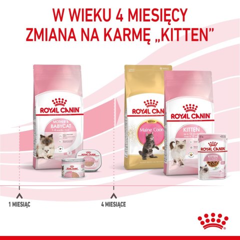 ROYAL CANIN FHN Mother&Babycat - sucha karma dla kociąt - 4kg Royal Canin ROYAL CANIN FHN Mother&Babycat - sucha karma dla kociąt - 4kg Royal Canin
