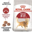 ROYAL CANIN FHN Regular Fit 32 - sucha karma dla kota dorosłego - 400 g Royal Canin
