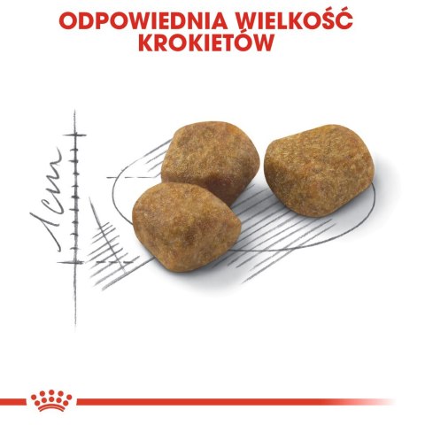 ROYAL CANIN FHN Regular Fit 32 - sucha karma dla kota dorosłego - 400 g Royal Canin ROYAL CANIN FHN Regular Fit 32 - sucha karma dla kota dorosłego - 400 g Royal Canin