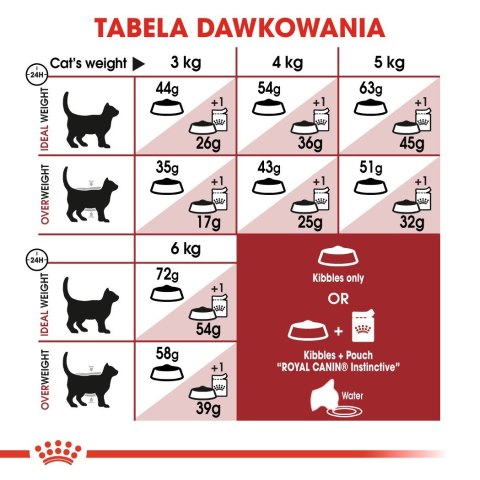 ROYAL CANIN FHN Regular Fit 32 - sucha karma dla kota dorosłego - 400 g Royal Canin ROYAL CANIN FHN Regular Fit 32 - sucha karma dla kota dorosłego - 400 g Royal Canin