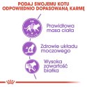 ROYAL CANIN FHN Regular Sterilised 37 - sucha karma dla kota dorosłego - 10 kg Royal Canin