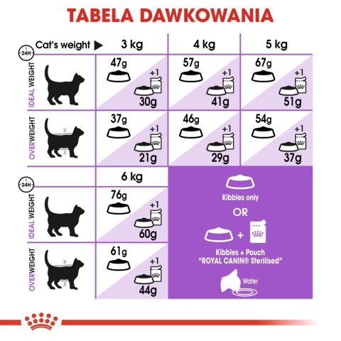 ROYAL CANIN FHN Regular Sterilised 37 - sucha karma dla kota dorosłego - 4 kg Royal Canin ROYAL CANIN FHN Regular Sterilised 37 - sucha karma dla kota dorosłego - 4 kg Royal Canin