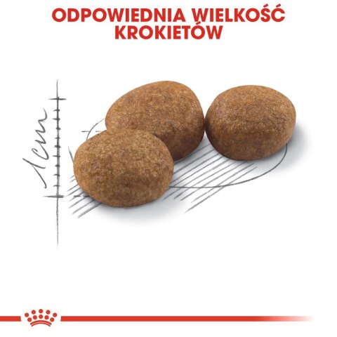ROYAL CANIN FHN Regular Sterilised 37 - sucha karma dla kota dorosłego - 4 kg Royal Canin ROYAL CANIN FHN Regular Sterilised 37 - sucha karma dla kota dorosłego - 4 kg Royal Canin
