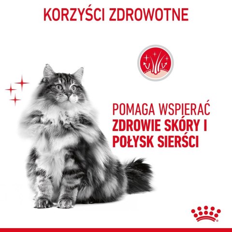 ROYAL CANIN Hair & Skin Care 0,4kg Royal Canin ROYAL CANIN Hair & Skin Care 0,4kg Royal Canin