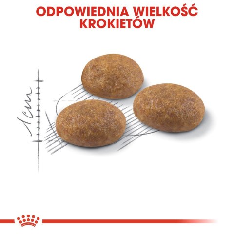 ROYAL CANIN Outdoor 30 0,4kg Royal Canin ROYAL CANIN Outdoor 30 0,4kg Royal Canin