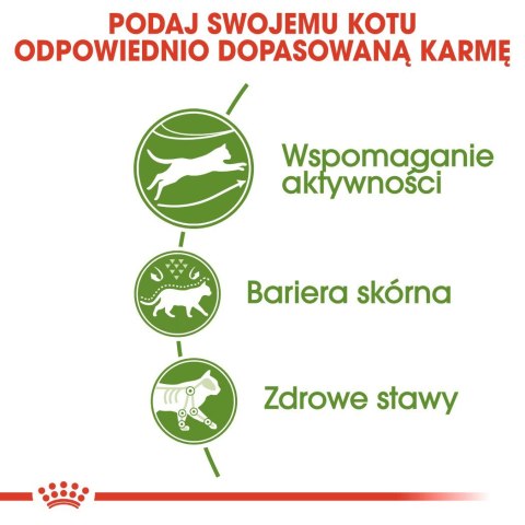 ROYAL CANIN Outdoor 30 0,4kg Royal Canin ROYAL CANIN Outdoor 30 0,4kg Royal Canin