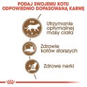 ROYAL CANIN Senior Ageing 12+ Sterilised 0,4kg Royal Canin