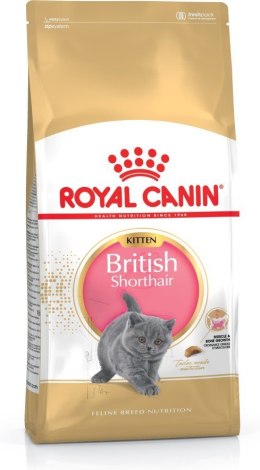 Royal Canin FBN British Shorthair Kitten - sucha karma dla kociąt - 2 kg Royal Canin