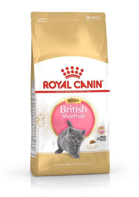 Royal Canin FBN British Shorthair Kitten - sucha karma dla kociąt - 2 kg Royal Canin Royal Canin FBN British Shorthair Kitten - sucha karma dla kociąt - 2 kg Royal Canin