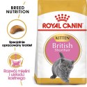 Royal Canin FBN British Shorthair Kitten - sucha karma dla kociąt - 2 kg Royal Canin
