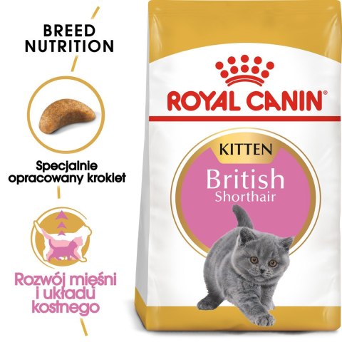 Royal Canin FBN British Shorthair Kitten - sucha karma dla kociąt - 2 kg Royal Canin Royal Canin FBN British Shorthair Kitten - sucha karma dla kociąt - 2 kg Royal Canin
