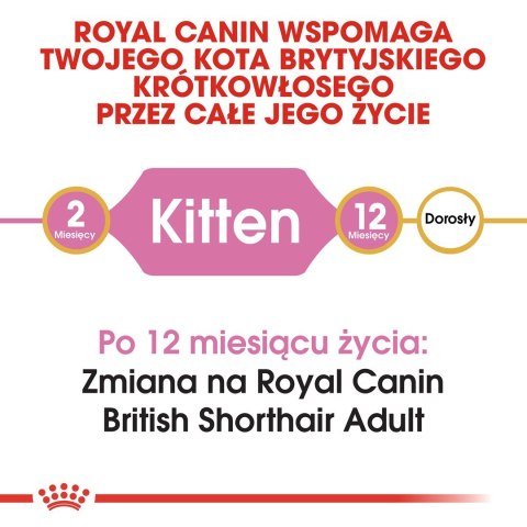 Royal Canin FBN British Shorthair Kitten - sucha karma dla kociąt - 2 kg Royal Canin Royal Canin FBN British Shorthair Kitten - sucha karma dla kociąt - 2 kg Royal Canin