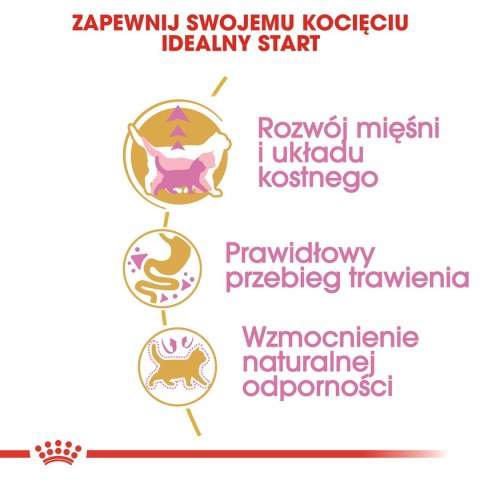 Royal Canin FBN British Shorthair Kitten - sucha karma dla kociąt - 2 kg Royal Canin Royal Canin FBN British Shorthair Kitten - sucha karma dla kociąt - 2 kg Royal Canin