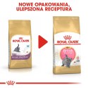 Royal Canin FBN British Shorthair Kitten - sucha karma dla kociąt - 2 kg Royal Canin