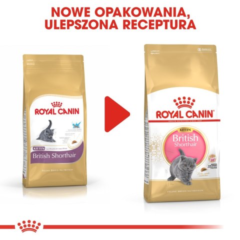 Royal Canin FBN British Shorthair Kitten - sucha karma dla kociąt - 2 kg Royal Canin Royal Canin FBN British Shorthair Kitten - sucha karma dla kociąt - 2 kg Royal Canin