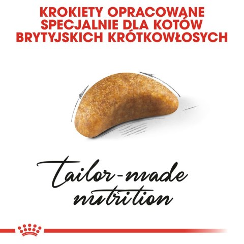 Royal Canin FBN British Shorthair Kitten - sucha karma dla kociąt - 2 kg Royal Canin Royal Canin FBN British Shorthair Kitten - sucha karma dla kociąt - 2 kg Royal Canin